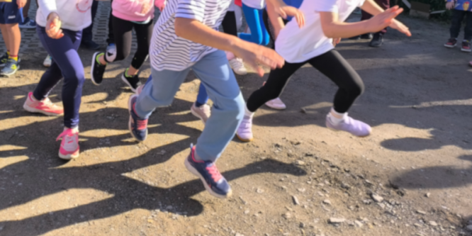 bild_crosslauf.png